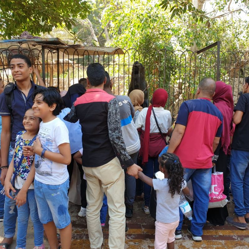 50 الف زائر لحديقة الحيوان في ثاني أيام عيد الاضحى والأطفال دون الخامسة مجانا