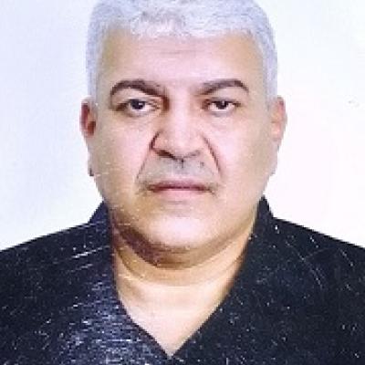 استاذ محمد سيد احمد محمد