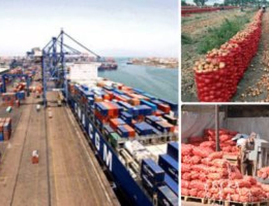 270 ألف طن صادرات غذائية خلال أسبوع.. وأمريكا والسودان والسعودية أكبر الأسواق المستقبلة