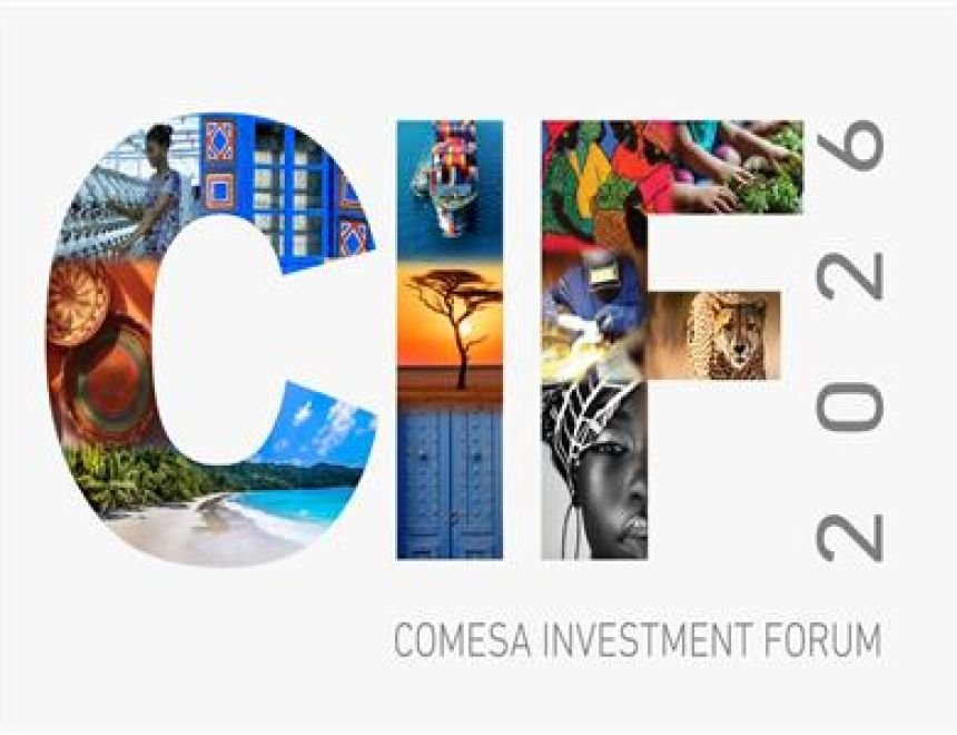 بقيادة مصر.. الكوميسا تشهد نموًا قياسيًا في الاستثمارات الأجنبية