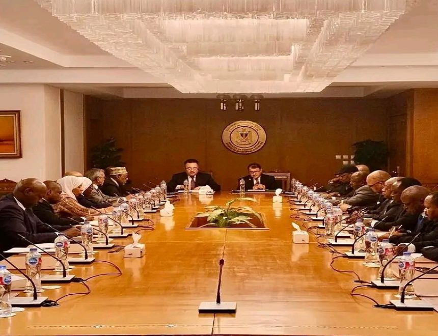 وزارة الخارجية المصرية تعقد جلسة إحاطة لسفراء الدول الإفريقية في القاهرة حول تطورات الأوضاع في المنطقة 