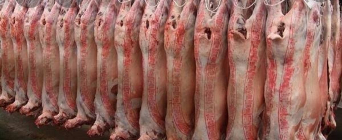 التموين تطرح منتجات اللحوم فى منافذ المجمعات الاستهلاكية بتخفيضات تصل للنصف