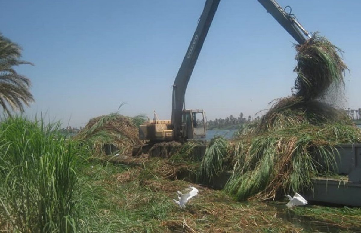 "الري" في أسبوع.. قطاع الموارد المائية ينفذ عملية تطهير ونزع للحشائش باستثمارات 11.5 مليون جنيه