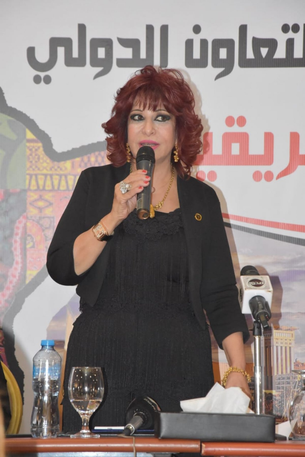 خلال مؤتمر صحفي انطلاق مبادرة المستثمرات العرب في القاهرة نهاية سبتمبر المقبل