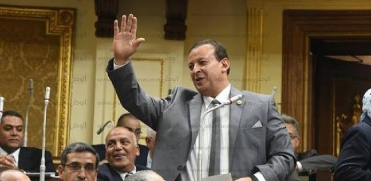 نائب: السيسي يقود مسيرة التنمية داخل مصر وأفريقيا