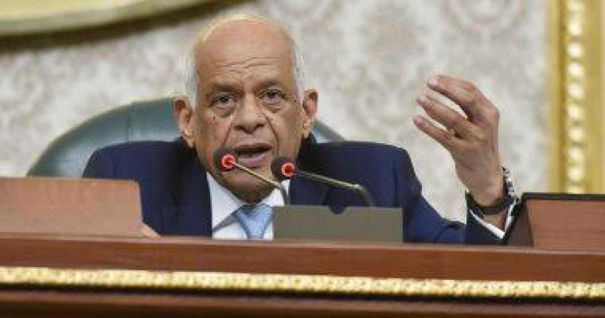 عبد العال: المرأة تستطيع أن تنافس فى الانتخابات بالفردى والقائمة