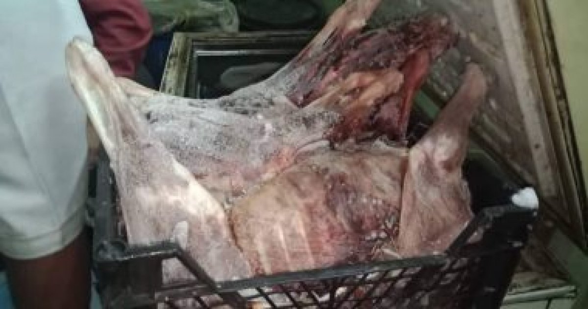 ضربة جديدة وجهتها مديرية الطب البيطري بالقليوبية  