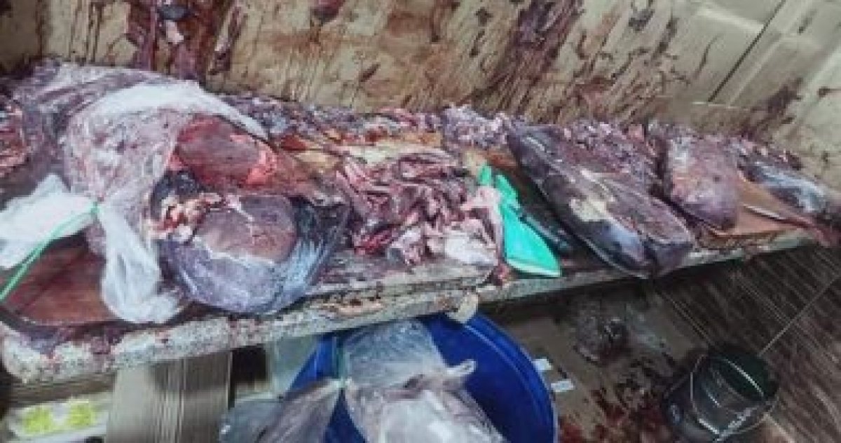 ضبط 3 أطنان دواجن ولحوم فاسدة قبل بيعها للمواطنين فى عين شمس