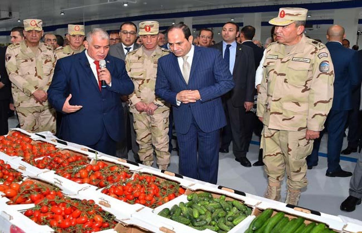 وزير الزراعة: الدول المتقدمة تحتاج إلى عشرات السنوات لتنفيذ مشروع الصوب