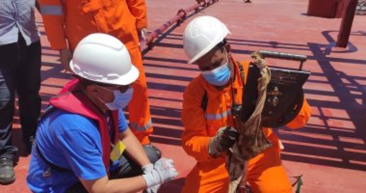 الأردن يعلن اكتشافات غاز طبيعي بالقرب من الحدود مع العراق