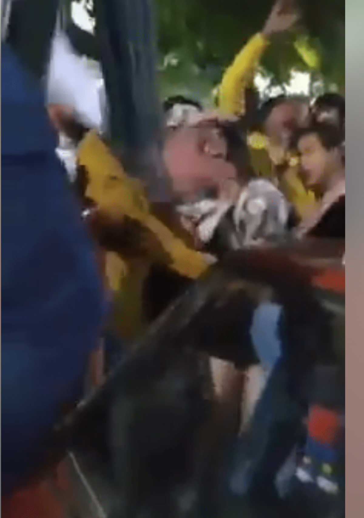 القبض علي 7 شباب في قضيه التحرش الجماعى بشارع بورسعيد ميت غمر 