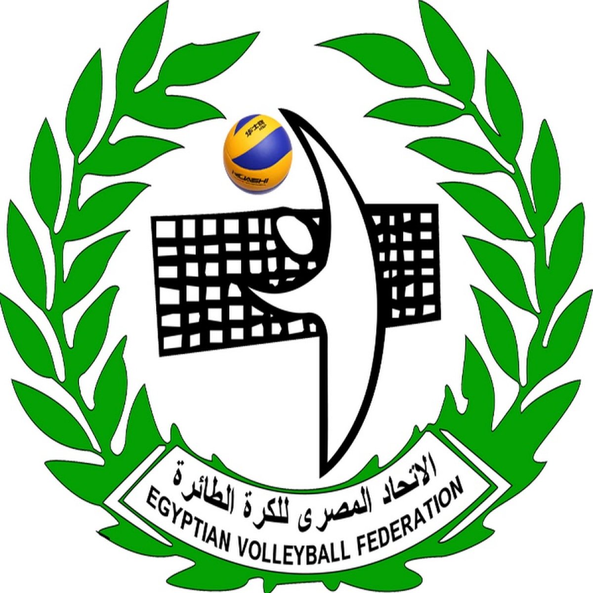 الاتحاد المصري لكرة الطائرة يعلن تأجيل كافة بطولاته لمنتصف يناير المقبل