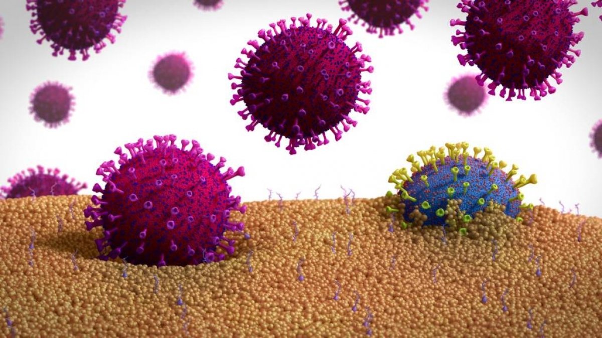 السلالة الجديدة لفيروس كورونا تصل لعدد من دول العالم