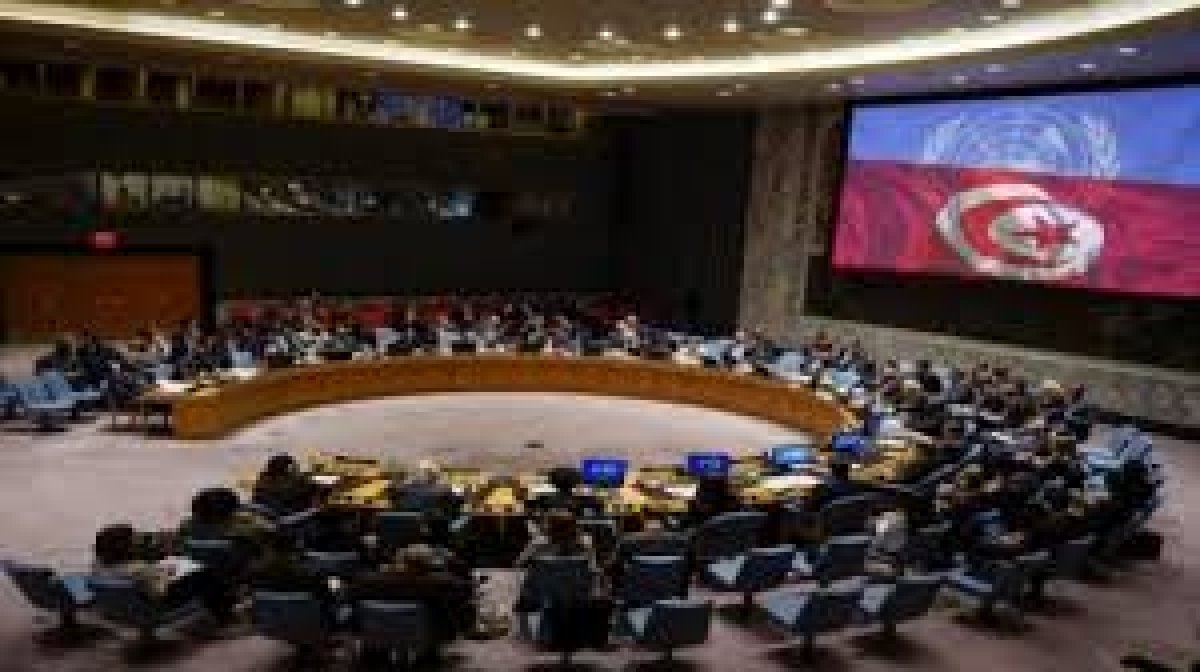 تعرف على خطة تونس لرئاسة مجلس الأمن يناير 2021