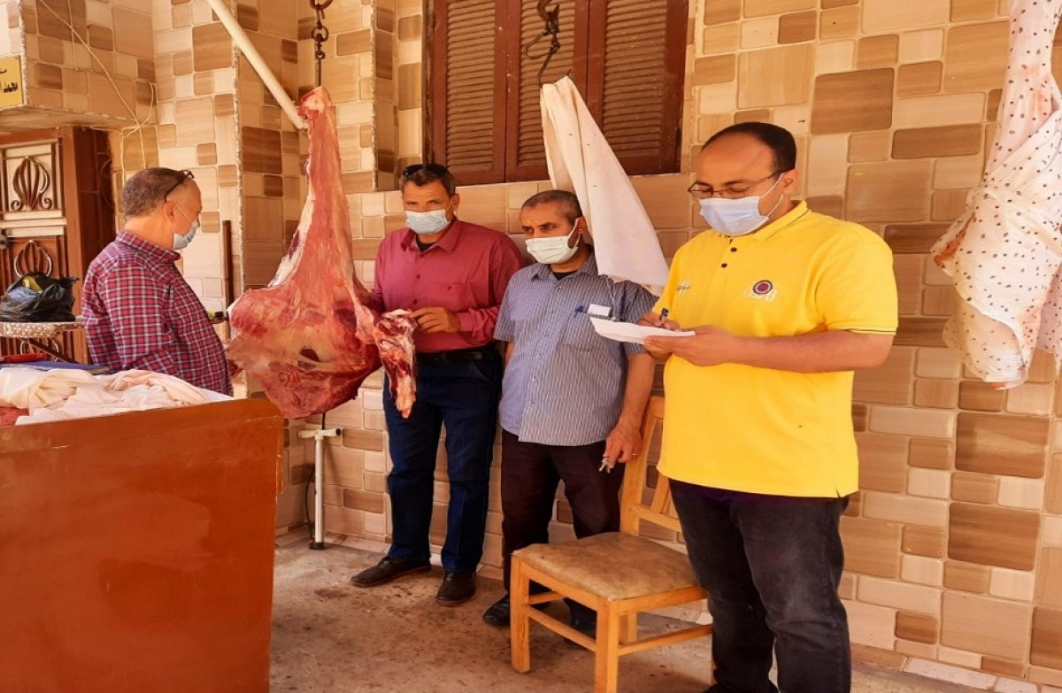 تحرير 21 محضرا للمخالفين في حملة تموينية في أجا