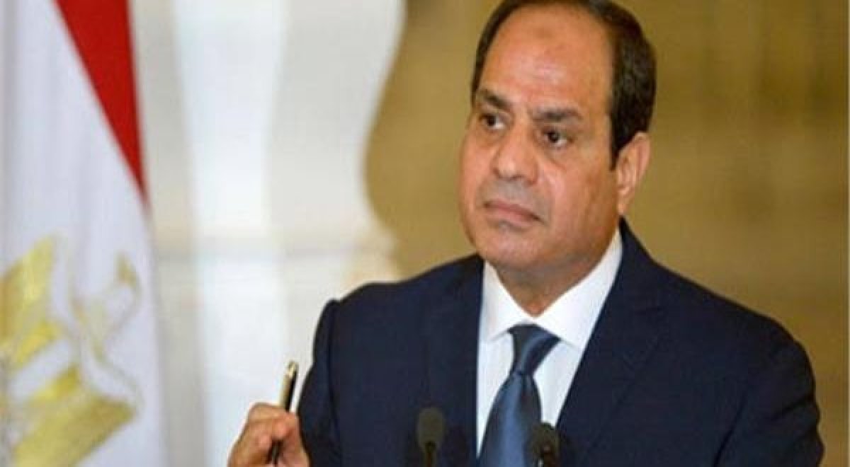 نداء لفخامة الرئيس عبدالفتاح السيسي الذي يضرب بيد من حديد