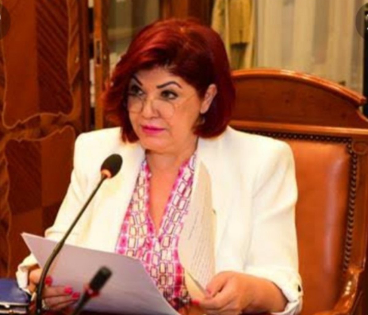 النائبة نورا على: إستراتيجية حقوق الإنسان الجديدة ستحقق أهداف رؤية مصر لسنة ٢٠٣٠