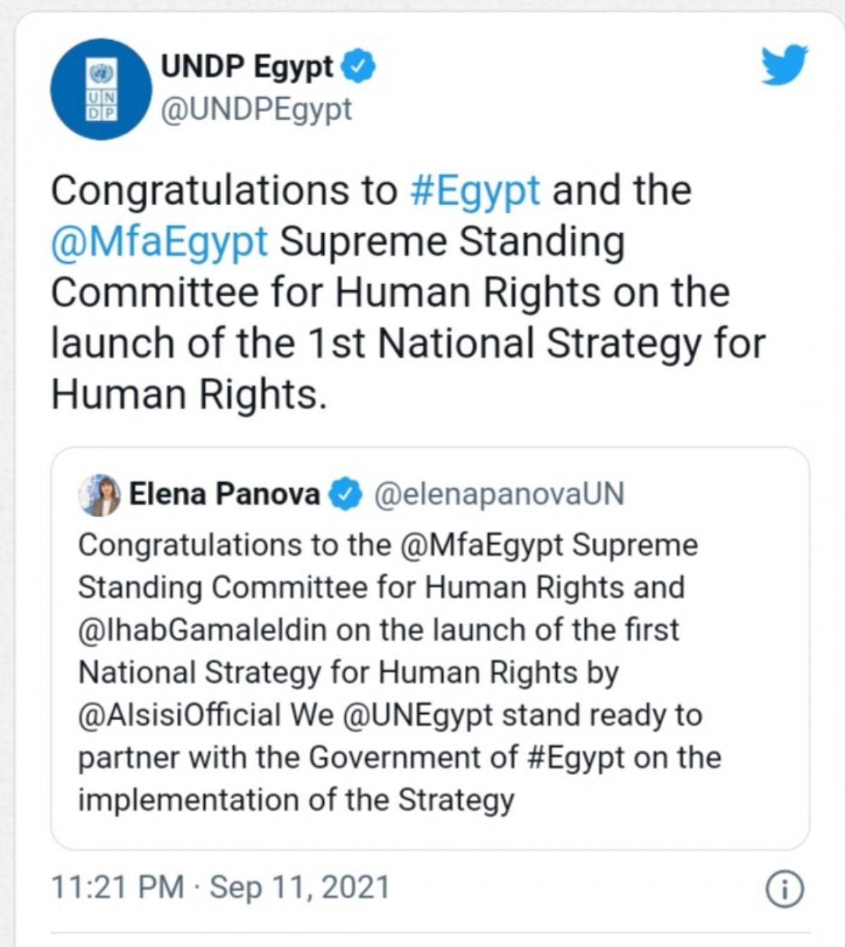 الأمم المتحدة تهنئ مصر لإطلاق الإستراتيجيه الأولى لحقوق الإنسان