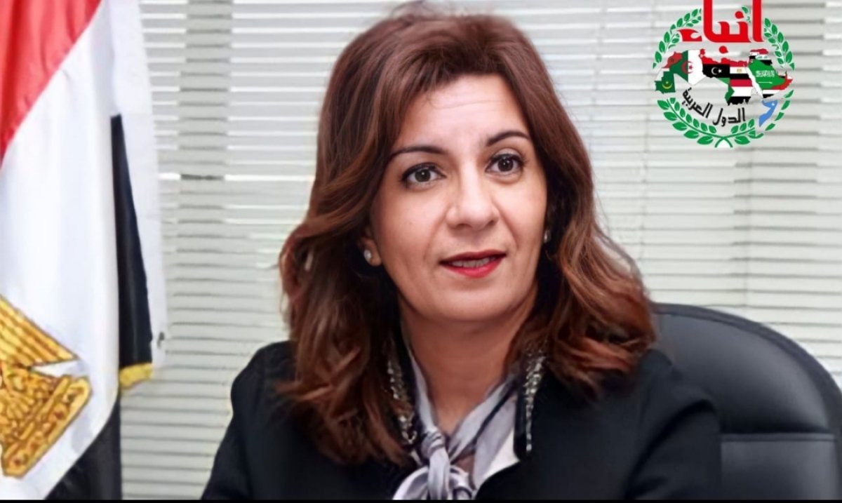 نبيلة مكرم، تأمينات إختيارية للوافدين المصريين