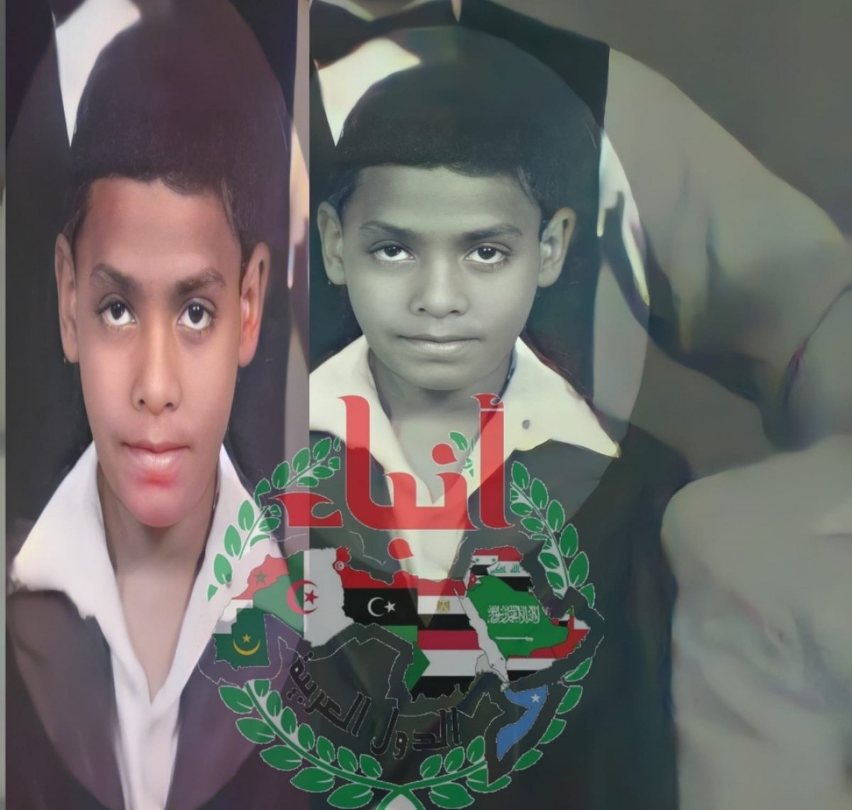 من هو المُشير طنطاوي؟