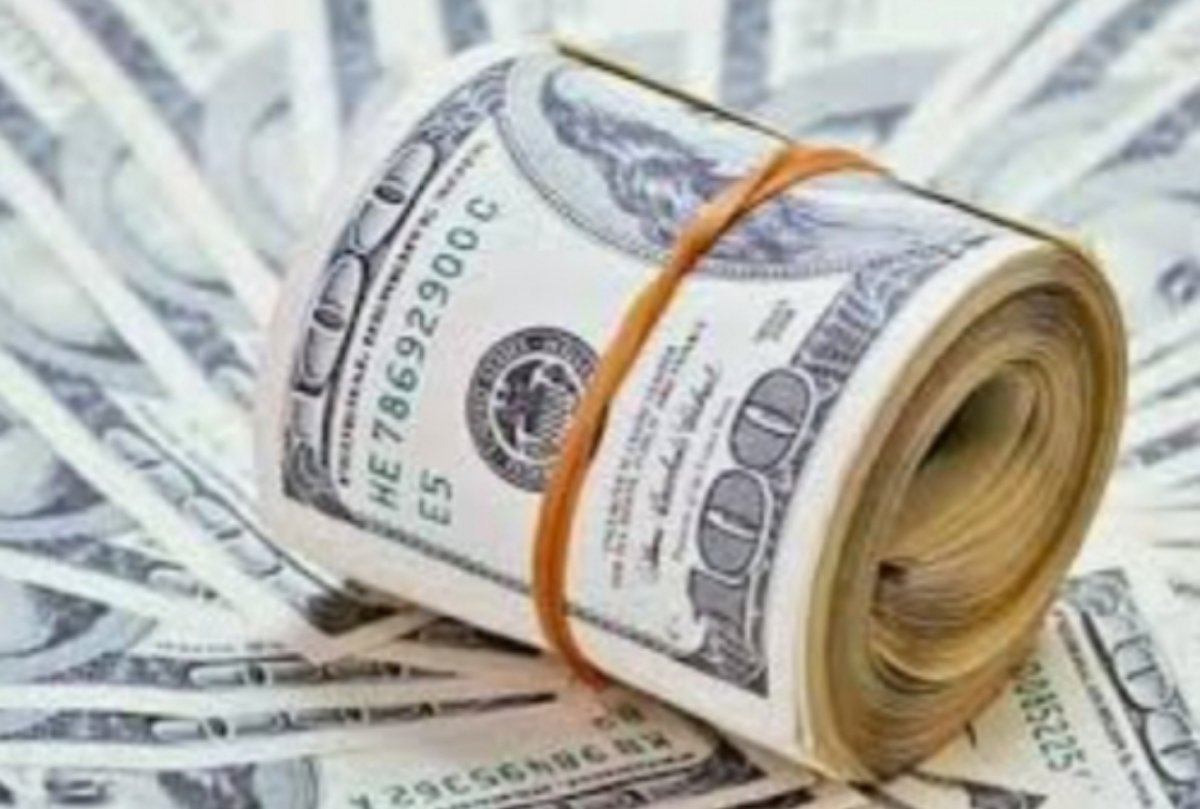 استقرار الدولار في البنوك المصرية 
