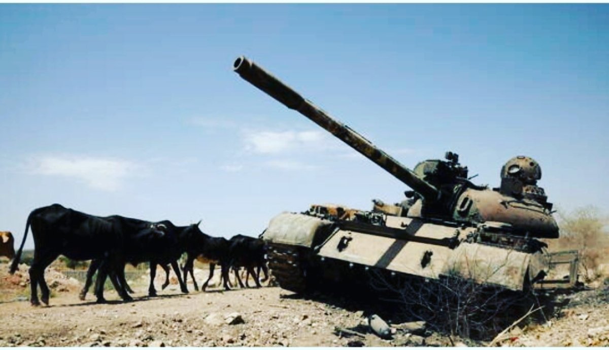 المتمردون يعلنون سيطرة قواتهم على بلدة استراتيجية في ولاية أمهره