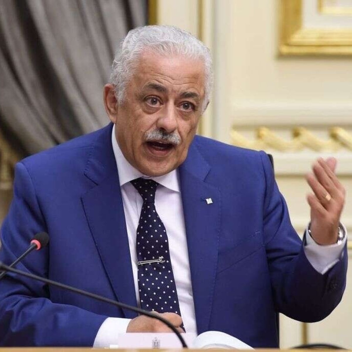 طارق شوقي " بنك المعرفة هو العمود الفقري للتعليم في مصر" 