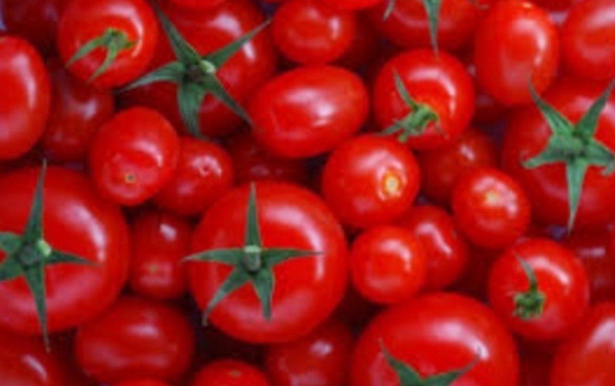 نوع من الخضروات يحمي جهاز المناعة