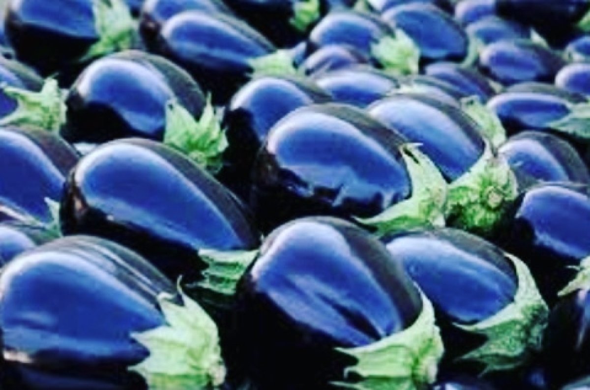 فوائد لم تكون تعرفها عن الباذنجان 