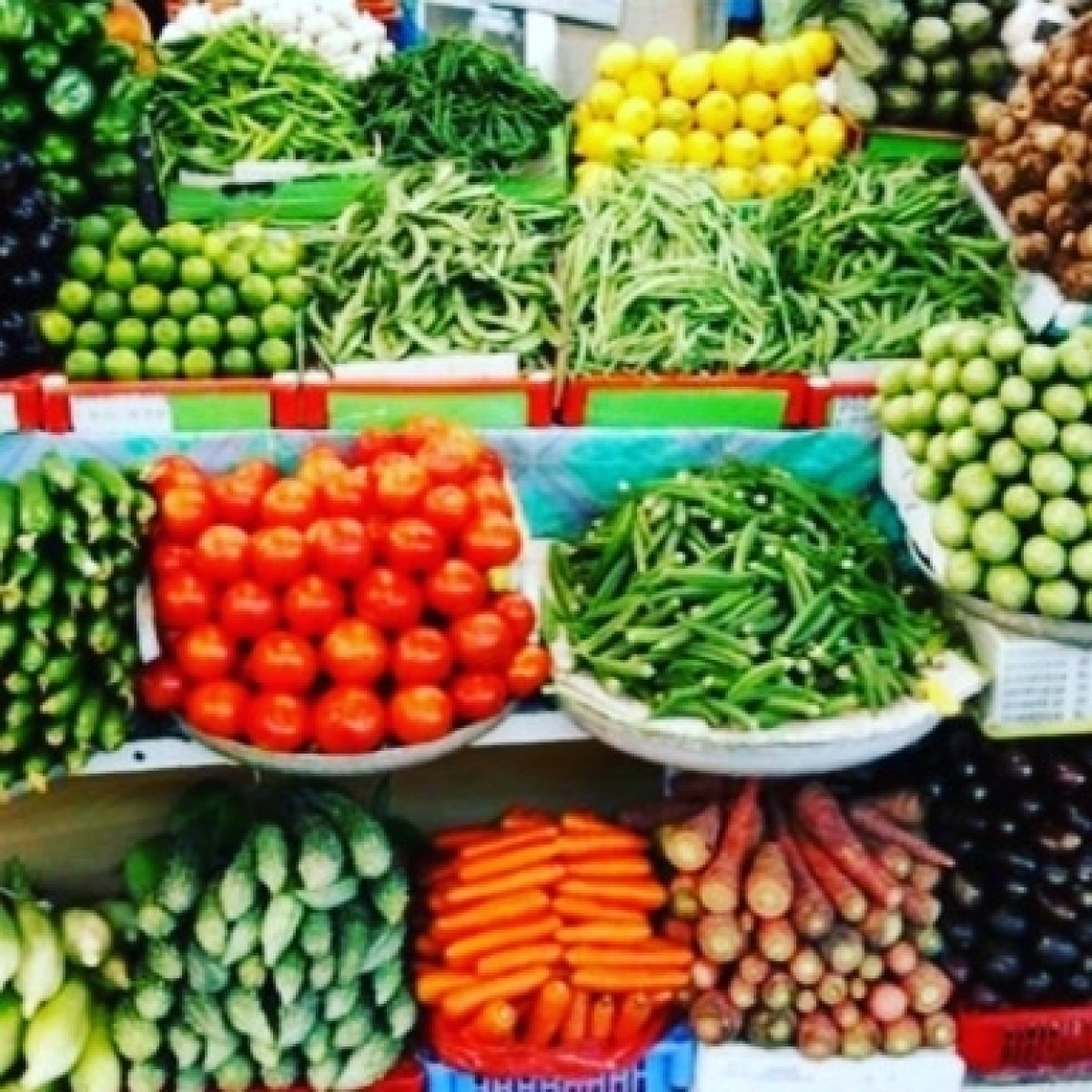 تعرف على أسعار الخضروات اليوم