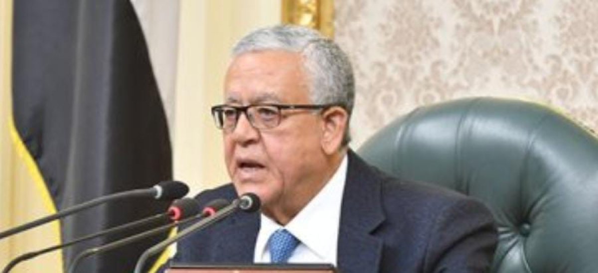 التحديات المعاصرة التى تواجه الديمقراطية.. أهم محاور نقاش الدبلوماسية المصرية