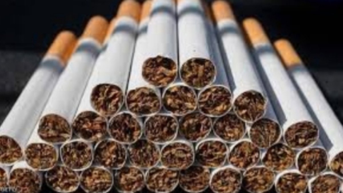 واردات مصر من التبغ تتراجع بشكل كبير في الفترة الأخيرة