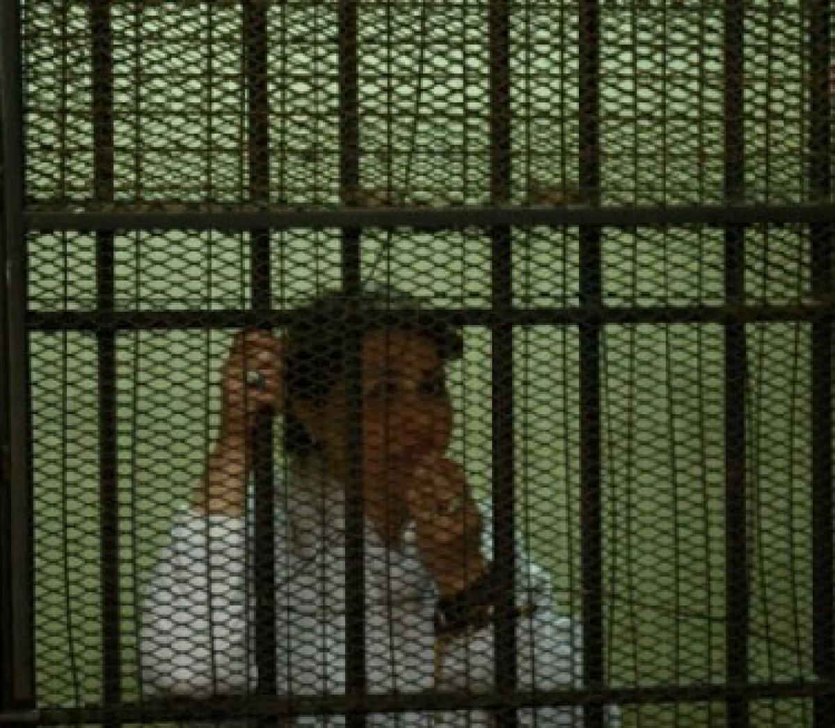 معاقبة سعاد الخولى نائب محافظ الإسكندرية سابقا، بالسجن 12 سنة