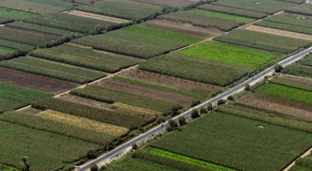 قيمة الاستثمارات بمشروع تطوير وترشيد نظم الري تبلغ 90 مليون جنيه