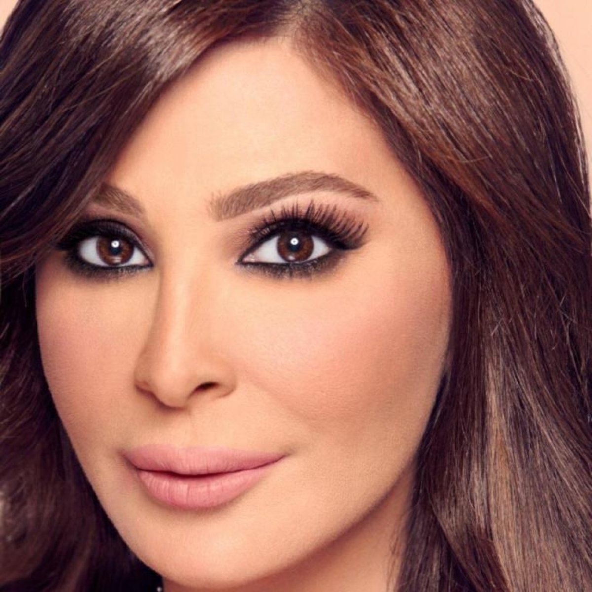 الفنانة اللبنانية إليسا :"مبروك الحكومة الجديدة