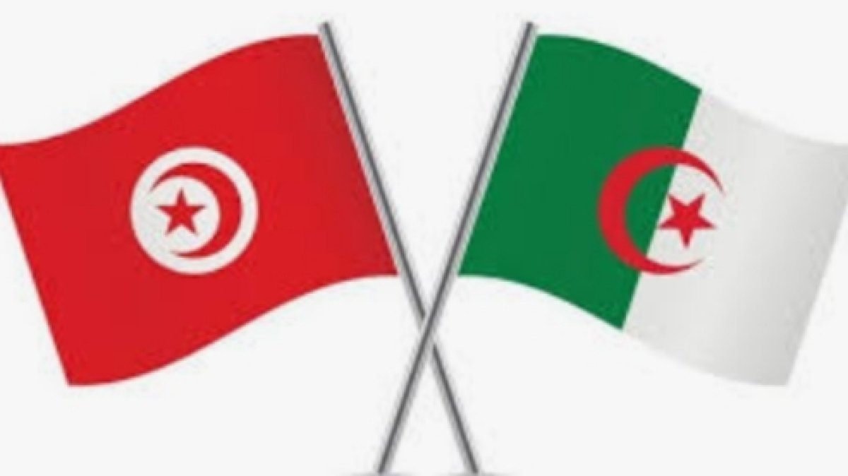 محاولات تونس و الجزائر في الفوز بمباراة اليوم أمالاً في البقاء في بطولة الأمم الأفريقية 