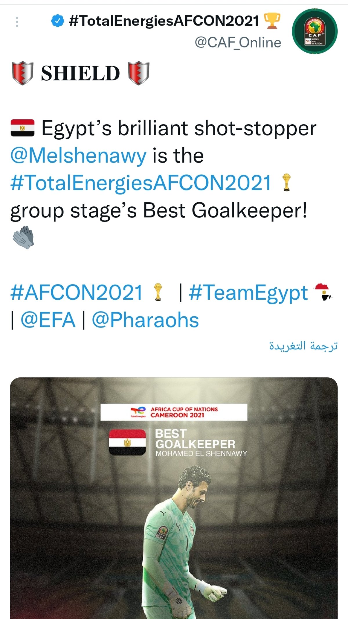 الشناوي أفضل حارس مرمى في دور المجموعات في بطولة كأس الأمم الإفريقية 