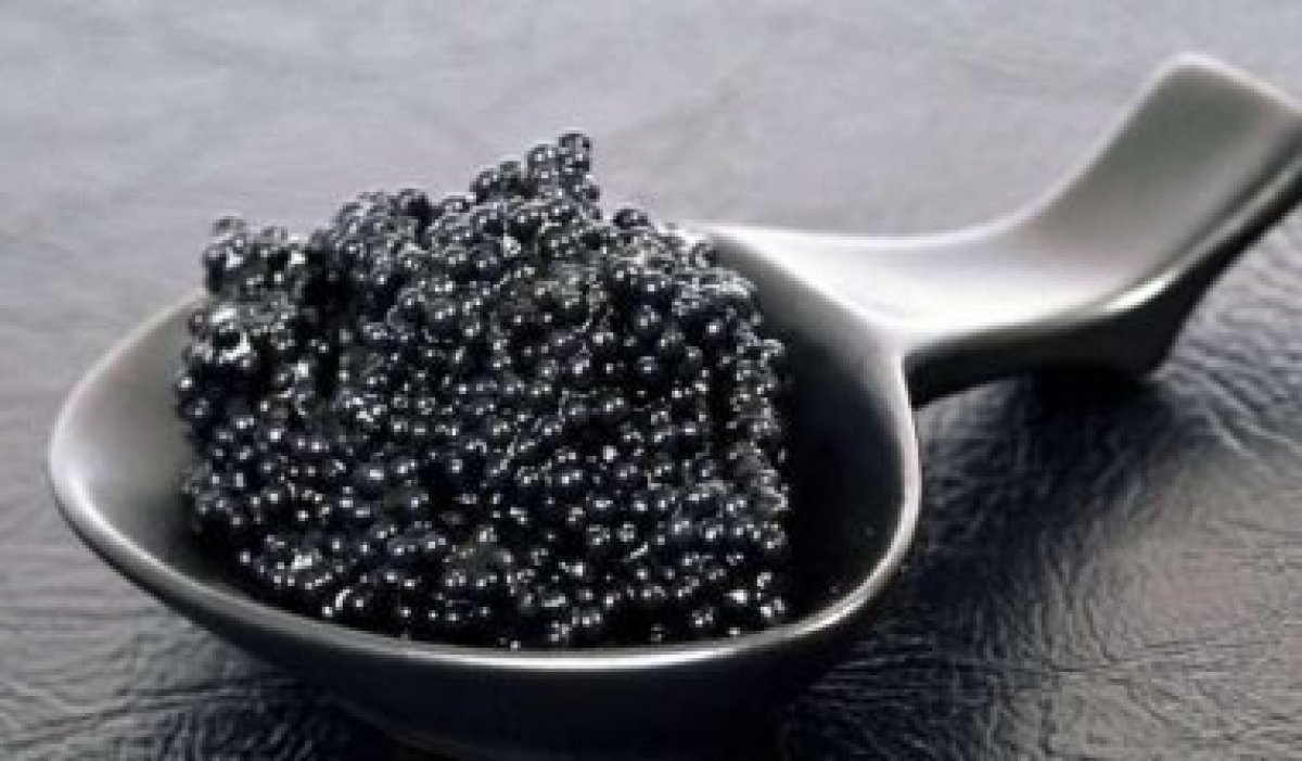 لشعر قوي ولامع، لك فوائد الكافيار للشعر