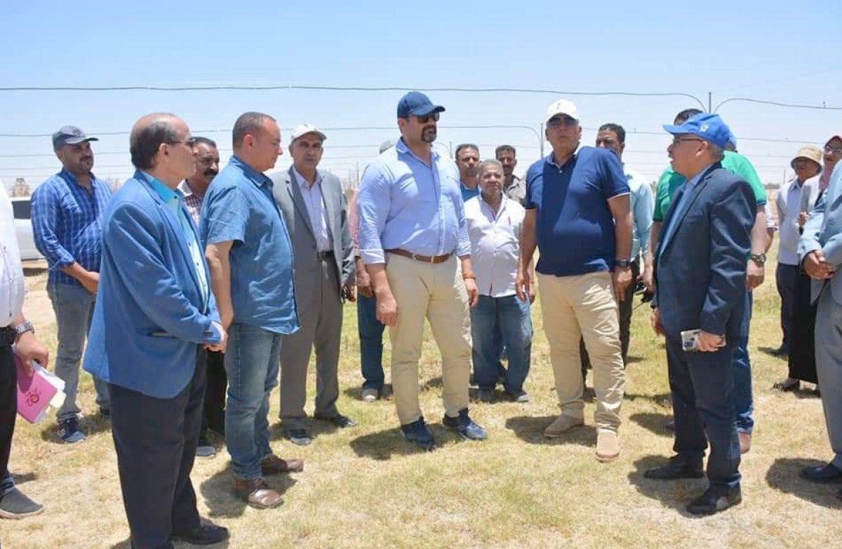  كتب حسن امام /تجربة إرشادية للري المطري في 5 أفدنة بالوادي الجديد