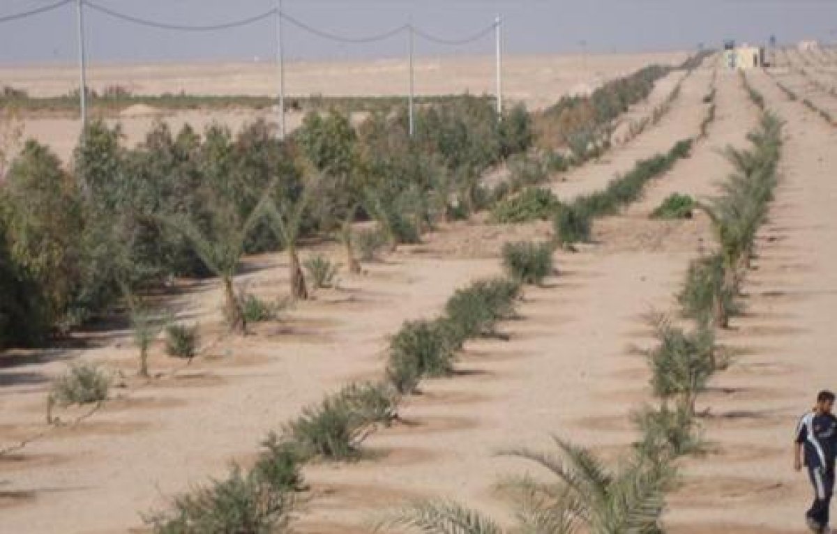 الإسكان: فتح باب التقدم لمدة شهرين للمتعاملين على أراضي الحزام الأخضر بـ6 أكتوبر للتقدم بمستندات التعاقد