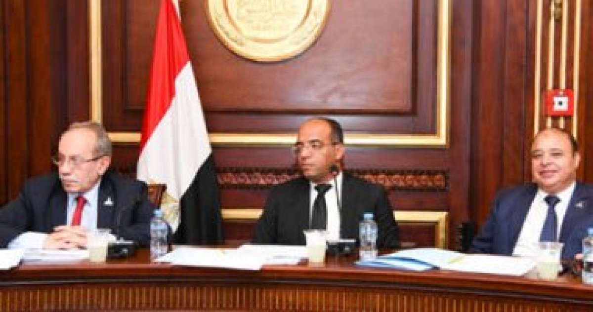 ممثلو الحكومة لـ"الشيوخ": الدولة حريصة على سرعة تطبيق التأمين الصحى الشامل