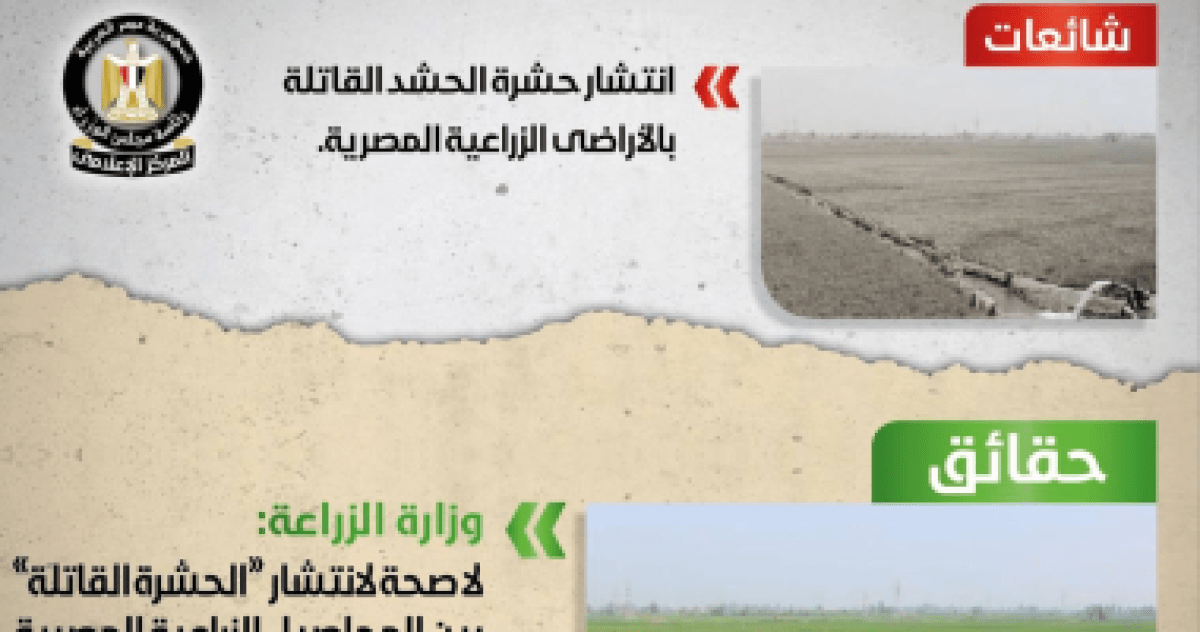 مجلس الوزراء: تنسيق مع كل الجهات بالتصدي للصفحات المروجة للشائعات