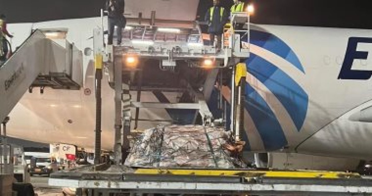 كتب محمد عمار/مطار القاهرة يستقبل أولى طائرات شحنات اللحوم المبردة القادمة من تشاد