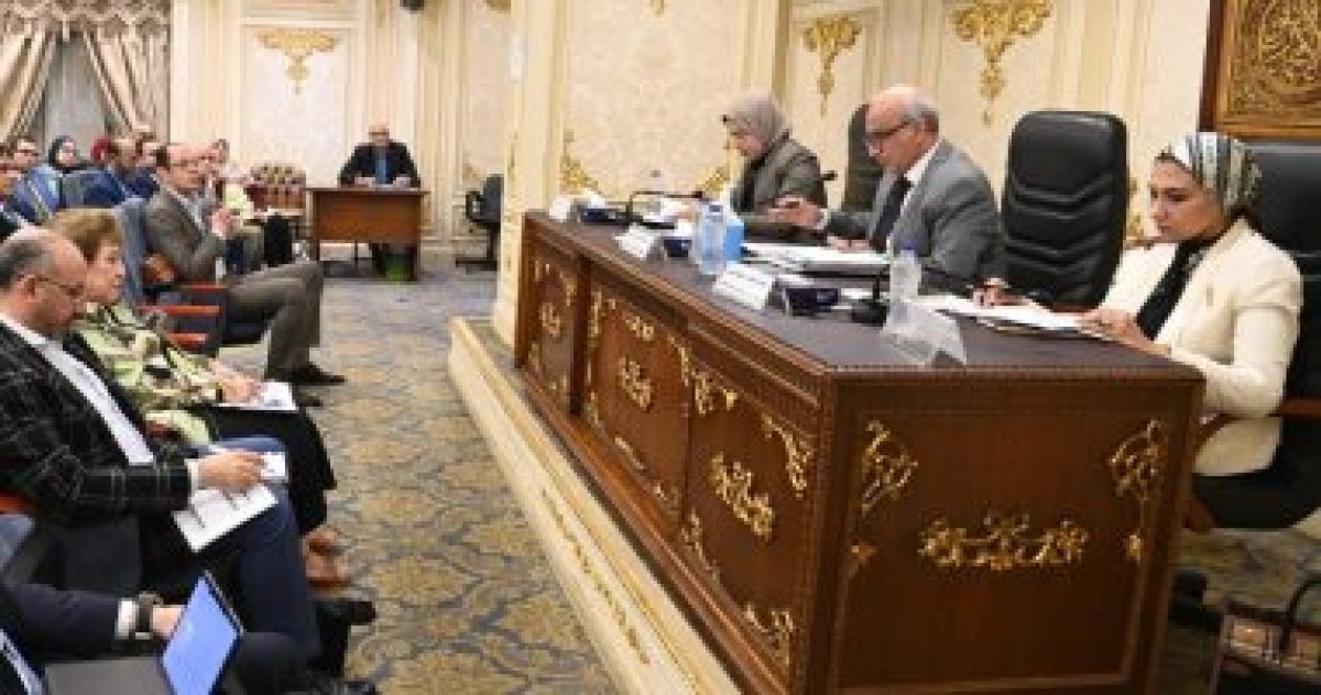 هيئة تعليم الكبار لـ"النواب": سنعلن مصر خالية من الأمية عام 2030