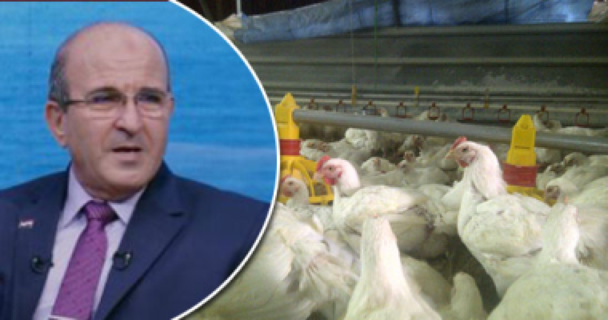 لو عايز تبلغ عن ارتفاع أسعار الدواجن والبيض فى منطقتك.. اعرف الأرقام