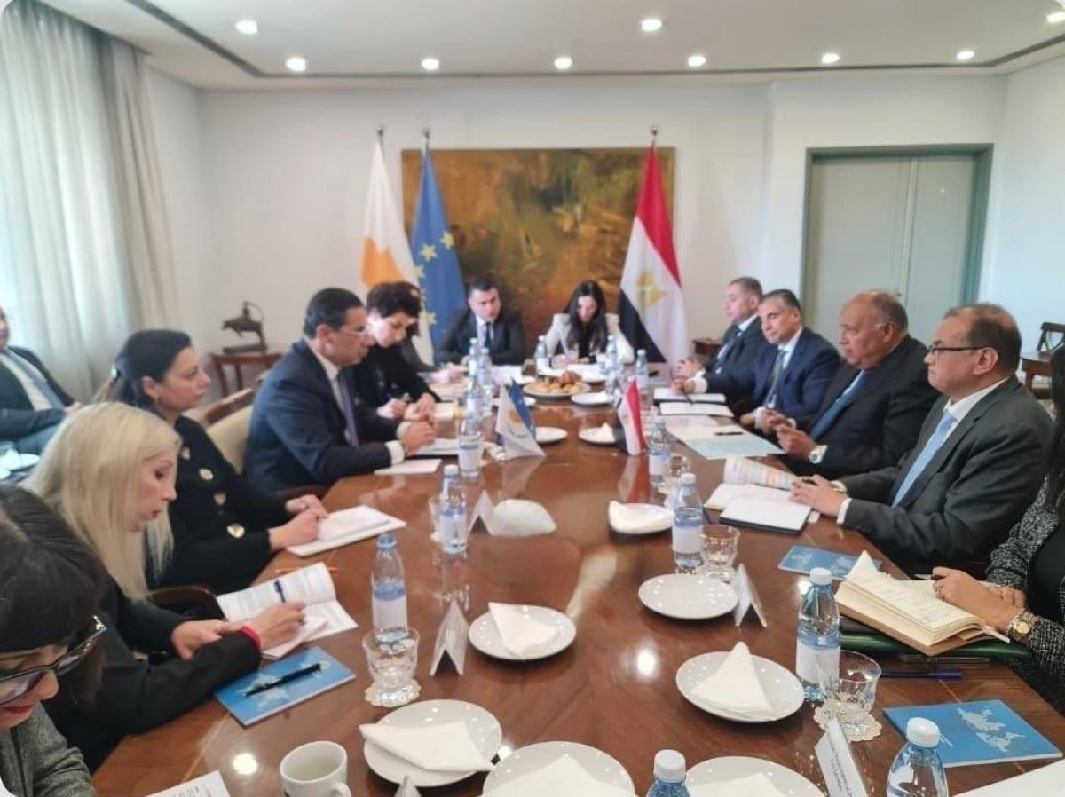 شكري يؤكد أهمية تعزيز الاستثمارات القبرصية في السوق المصرية ونسج شراكات قوية
