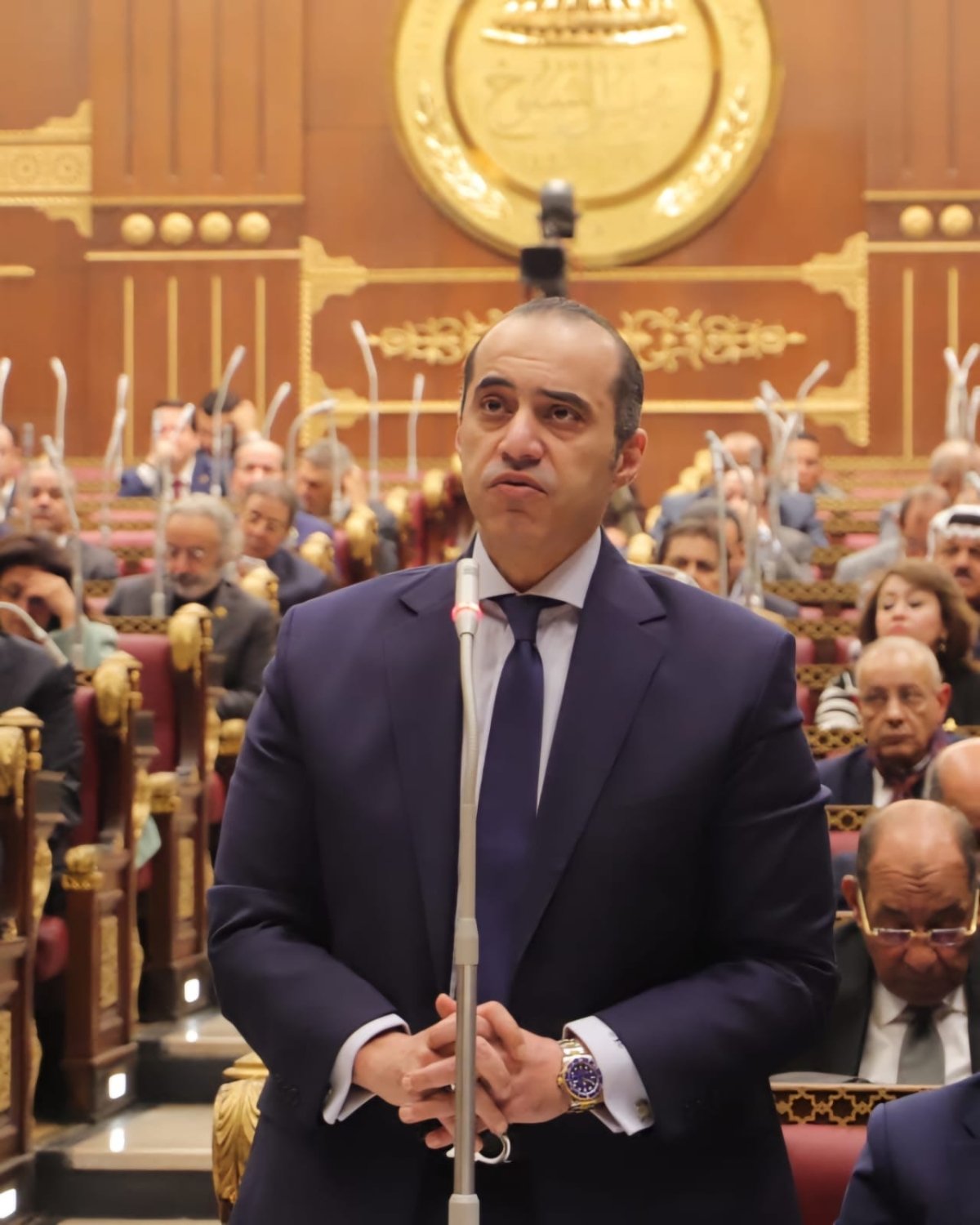 المستشار محمود فوزى ينعى الفريق جلال الهريدى