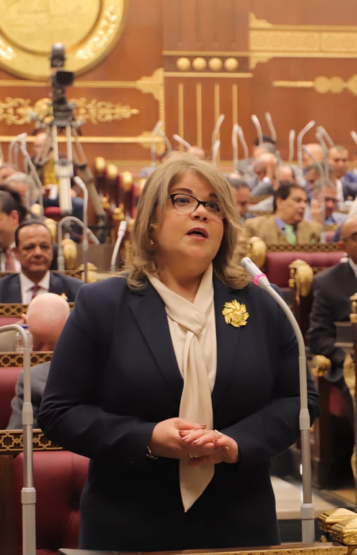 فيبى فوزى وكيلة مجلس الشيوخ  تنعى رئيس حزب حماة الوطن