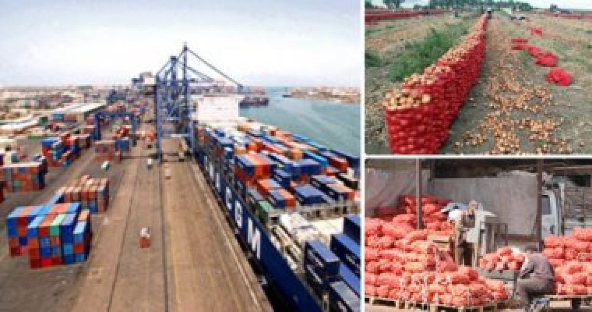 270 ألف طن صادرات غذائية خلال أسبوع.. وأمريكا والسودان والسعودية أكبر الأسواق المستقبلة