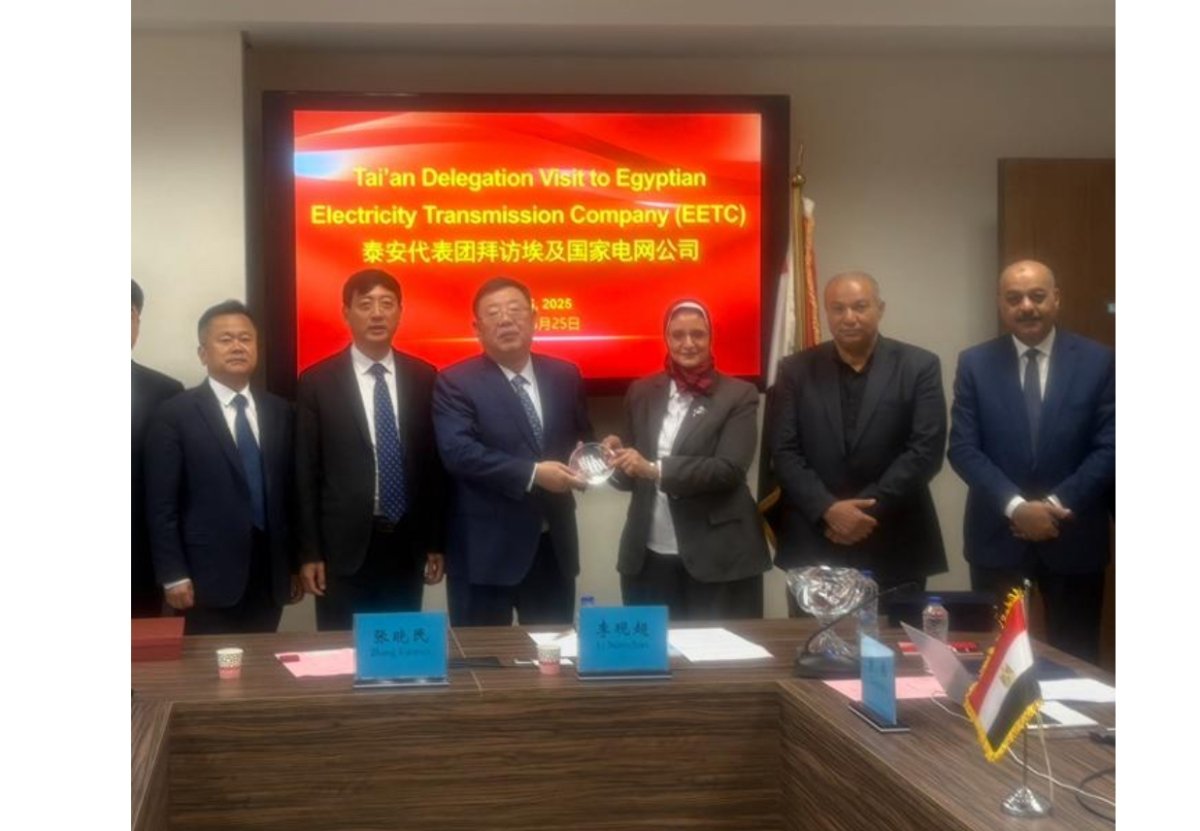 دعم التعاون المصري الصيني في مشروعات نقل الكهرباء وتطوير الشبكات